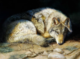 wild wolf eyes wildlife ceramic tile mural backsplash - £46.60 GBP+
