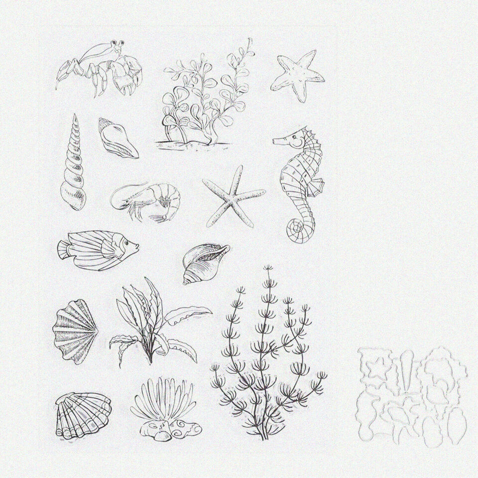 DIY Sea Horse &amp; Conch Clear Rubber Stamp and Cutting Die Set for Scrapbo... - $34.60