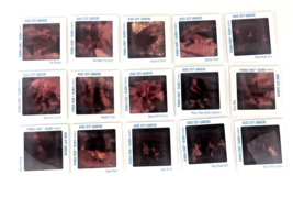 Vintage Rock City Gardens Pana Vue Slides Lot of 15 Slides Lookout Mount... - $13.30