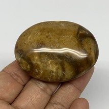 72.8g, 2.3&quot;x1.7&quot;x0.8&quot;, Yellow Ocean Jasper Palm-Stone @Madagascar, B18141 - £4.79 GBP