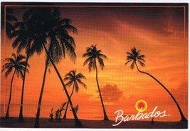 Barbados Caribbean Island Postcard Sunset Palm Trees - £3.10 GBP