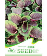 Edible Amaranth Red Green Vegetable Seeds 30 Seeds Organic Delicious Chinese Lea - $10.00