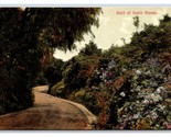 Garden of Gold Ophir Roses UNP Unused DB Postcard M17 - $2.92