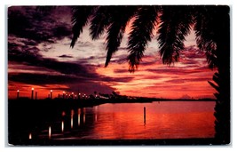 Memorial Causeway Clearwater Bay Florida Unused Postcard - £11.59 GBP