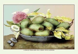 A Dish of Medlars, a Rose, and Almonds - $372.24 MXN