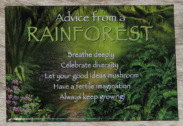 YOUR TRUE NATURE Advice from the Rainforest~&quot;Always Keep Growing&quot;~Fridge Magnet~ - £5.77 GBP