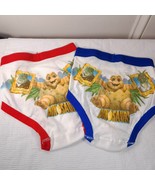 Vintage Fruit Of The Loom Dinosaurs tv show Sinclairs Boys Underwear bri... - $62.88 CAD