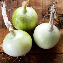 100 Seeds of White Onion Sierra Blanca USA Grown - £14.35 GBP