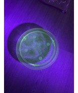 Vintage Jeanette Uranium Glass 3 Footed Sunflower Cake Plate SH - $452.56 MXN