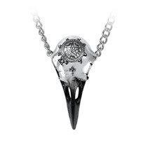 Alchemy Gothic Volvan Ravenskull Necklace Viking Seidr Pentagram Pendant P898 - £27.02 GBP