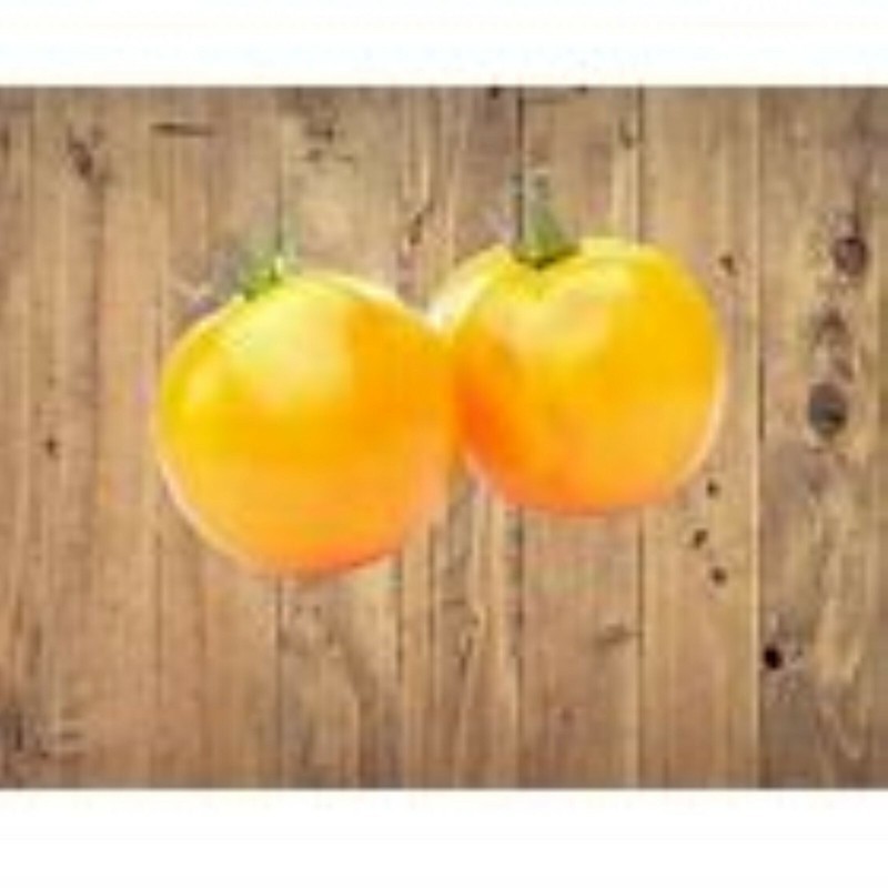 SRN 25 Golden Jubilee Tomato Seeds Garden - $11.26