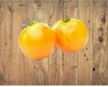 SRN 25 Golden Jubilee Tomato Seeds Garden - $11.26