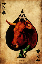 Playing Card Poster - King of Spades #7 Canvas Art Poster 16&quot;x 24&quot; - £23.12 GBP