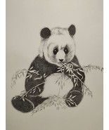 Charlotte Young Panda Bear Sketch 10.5&quot; X 13.5&quot; With Certificate Of Auth... - $40.74 CAD