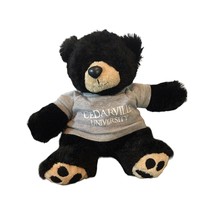 Chelsea Teddy Bear Co Soft Black Bear Sitting Cedarville University  EUC - £7.61 GBP