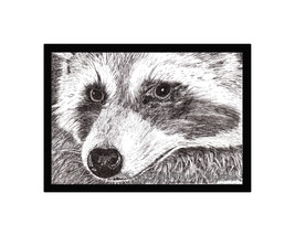Raccoon Pen and Ink Print - £18.82 GBP