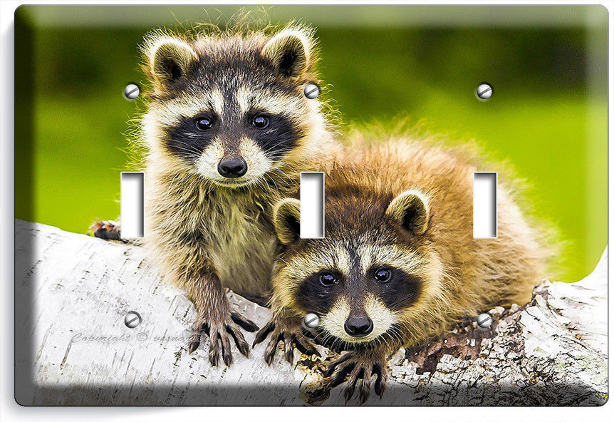 CUTE LITTLE RACCOONS TRIPLE LIGHT SWITCH WALL PLATE COVER BEDROOM ROOM ART DECOR