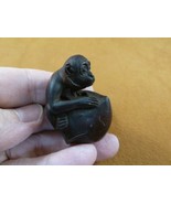 (tne-ape-ch-1) CHIMPANZEE  ball Chimp Monkey TAGUA NUT Netsuke Figurine ... - $524.91 MXN