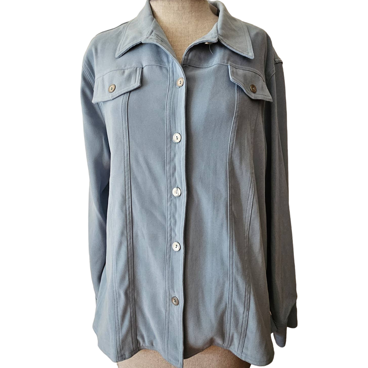Primary image for Light Blue Shacket Size 12