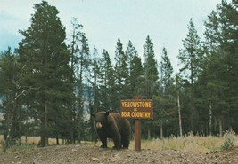 Postcard Yellowstone Is Bear Country Unused Yellowstone National Park Wyoming - £4.74 GBP