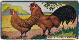 Cowan Co Toronto Card Golden Pencilled Hamburg Chicken Series - £7.78 GBP