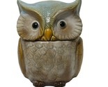 Ceramic Stoneware Owl storage container for cookies or candy in Brown Te... - $24.31