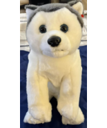 Ty Beanie Buddy Nanook The Husky Dog 1999 14&quot; New With Tags - £15.48 GBP
