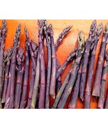 5 ASPARAGUS CROWN, Asparagus, Purple Passion 2 Year Roots - $12.95