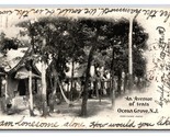 Avenue of Tents Ocean Grove NJ 1903 Private Mailing Card PMC Postcard V11 - $3.91