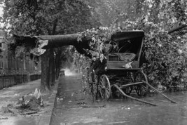Large Tree Falls and Crushes Horse Drawn Wagon on Road - Art Print - £17.63 GBP+