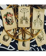 Full Medium Reading-Can ask up to 5 questions max via text - $80.00