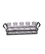 Set of 5 Glass Bottles Vases With Black Metal Stand Propagation Station NEW - $23.36