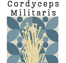 Cordyceps Militaris Certified Organic Mushroom powder 50g. - $23.46 CAD