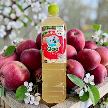 Coca Cola Minute Maid Japan Qoo Apple Juice Drink 950 ml - $6.88