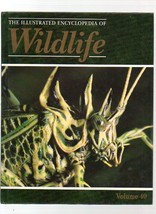 THE ILLUSTRATED ENCYCLOPEDIA OF WILDLIFE VOLUME 40 INVERTEBRATES - £3.07 GBP