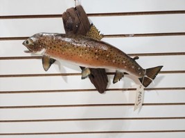 Beautiful Real Skin 20” Trout Taxidermy Wall Mount Art Wildlife - £298.91 GBP