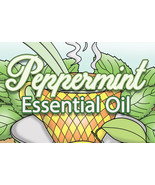 22 COLORING PAGES Peppermint Essential Oil Adult Coloring Book ; Meditat... - £0.79 GBP