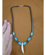 W30-11) 1-1/2&quot; real COYOTE wild dog T**th hematite + turquoise bead 20&quot; ... - €33,48 EUR
