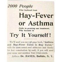 Dr Hayes Hay Fever Buffalo 1897 Advertisement Victorian Quack Medicine A... - $368.12 MXN