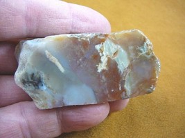 (DF700-42) Fossil REAL DINOSAUR POOP Coprolite Dino Utah Jurassic DUNG P... - $394.00 MXN