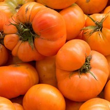 Amana Orange Tomato X-Large HEIRLOOM 30+ seeds 100% Organic Grown in USA - £3.60 GBP