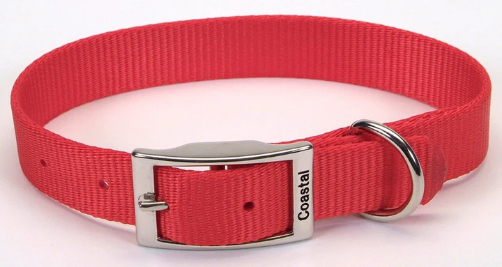 Single-Ply Nylon Collar 1X18 Inches - $19.00