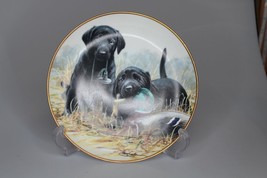 Beginners’ Luck Limited Edition Collector Plate By Franklin Mint~ - £11.67 GBP