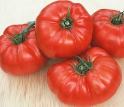 Beefsteak Tomato 5 seeds (P 103) - £1.56 GBP