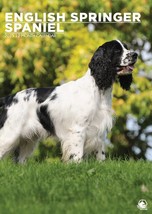 English Springer Spaniel Dog A3 Calendar 2025 - Dog- Month To View - Wirobound. - £12.33 GBP