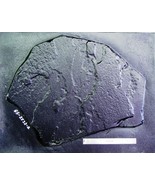 Giant Fieldstone Stepping Stone Mold 25&quot;x32&quot;x2&quot; Make Concrete Wall Rock ... - $2,249.30 MXN