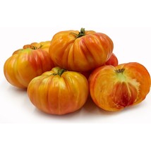 New Fresh Seeds Big Rainbow Beefsteak Tomato 30 Seeds Seeds - $3.94