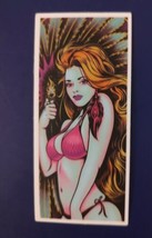 Sexy Lighter Girl Adult Humor Skateboard Guitar Sticker - $4.00