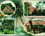 Glimpses of City Park Multiview Tampa Florida FL UNP Unused DB Postcard D9 - £7.08 GBP