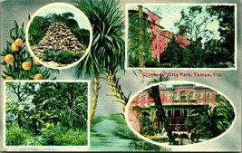 Glimpses of City Park Multiview Tampa Florida FL UNP Unused DB Postcard D9 - £6.96 GBP